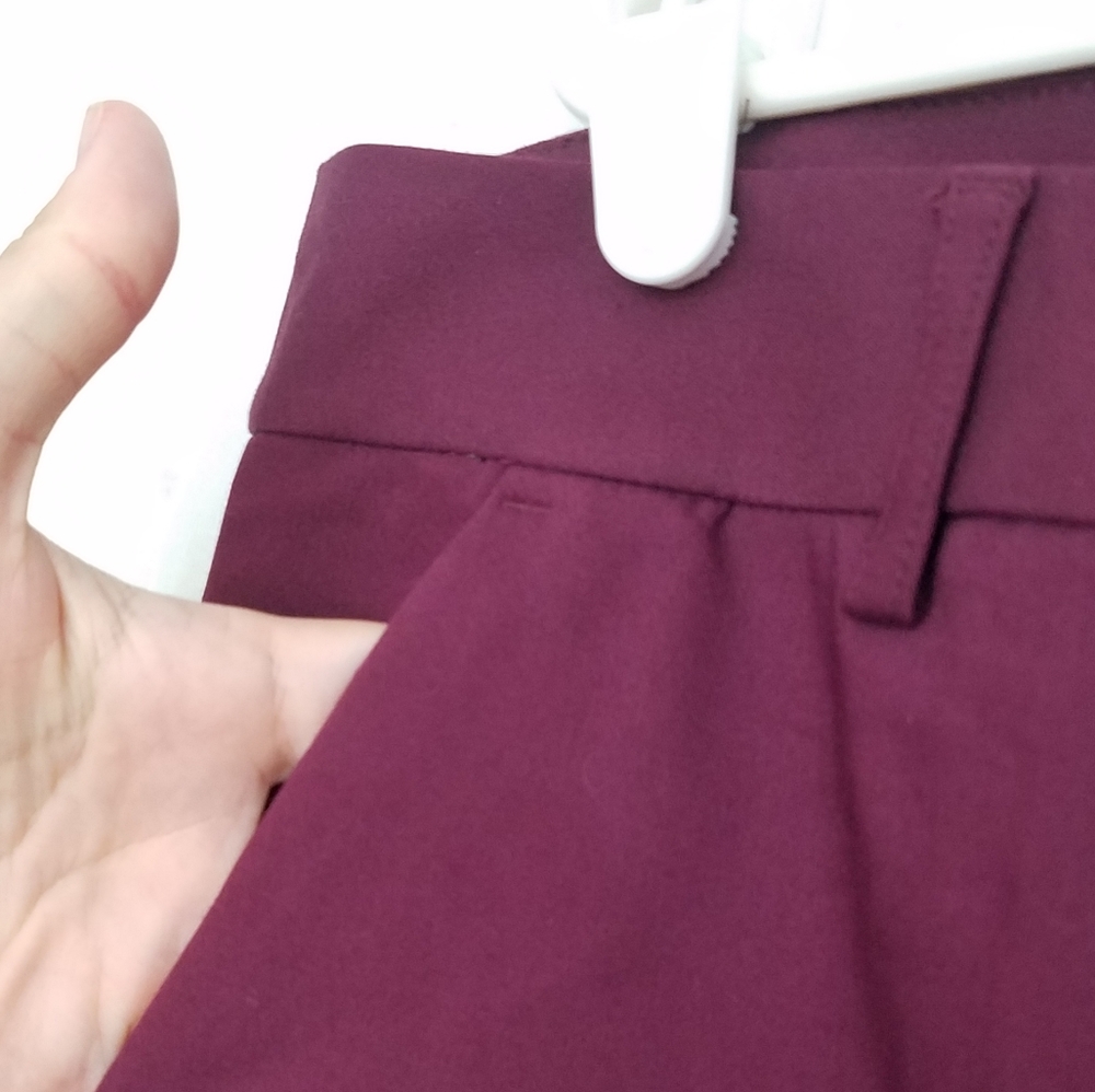 Express Columinst Slacks, EUC - Picture 2 of 5